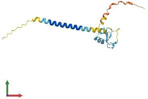 Protein Structure (PS) image for Ring Finger Protein 24 (RNF24) (AA 1-148) protein (His tag) (ABIN7551530)