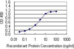 Detection limit for recombinant GST tagged NOMO3 is 0. (NOMO3 antibody  (AA 966-1033))