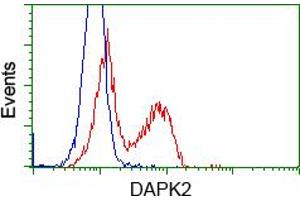 HEK293T cells transfected with either pCMV6-ENTRY DAPK2 (RC216274) (Red) or empty vector control plasmid (Blue) were immunostained with anti-DAPK2 mouse monoclonal (ABIN2452941), and then analyzed by flow cytometry. (DAPK2 antibody)