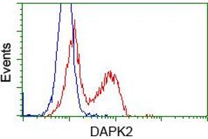HEK293T cells transfected with either pCMV6-ENTRY DAPK2 (RC216274) (Red) or empty vector control plasmid (Blue) were immunostained with anti-DAPK2 mouse monoclonal (ABIN2452941), and then analyzed by flow cytometry. (DAPK2 antibody)