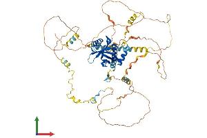 AlphaFold protein structure predicition of Human Recombinant NUMBL Protein, UniprotID Q9Y6R0