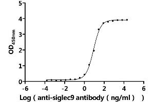 Measured by its binding ability in a functional ELISA.