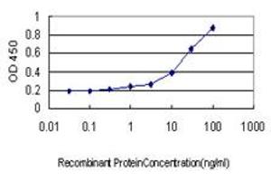 Detection limit for recombinant GST tagged STAU1 is approximately 0. (STAU1/Staufen antibody  (AA 401-496))