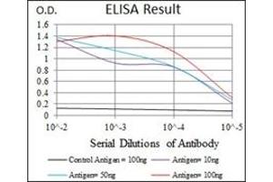 ELISA image for anti-Chemokine (C-C Motif) Ligand 2 (CCL2) antibody (ABIN1108180)