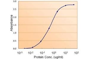 Image no. 3 for anti-Fumarate Hydratase (FH) (Internal Region) antibody (ABIN374767) (FH antibody  (Internal Region))