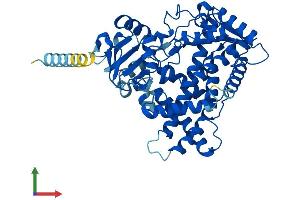 AlphaFold protein structure predicition of Mouse Recombinant Cyp2c29 Protein, UniprotID Q64458 (CYP2C29 Protein (AA 1-490) (His tag))