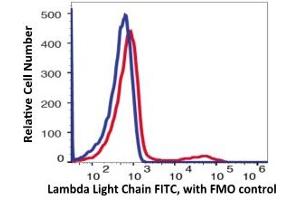 Flow Cytometry (FACS) image for anti-lambda Light Chain (Lambda-IgLC) antibody (FITC) (ABIN6253021) (Lambda-IgLC antibody  (FITC))
