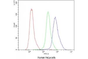 Flow Cytometry (FACS) image for anti-Calbindin (CALB1) (AA 2-175) antibody (ABIN3030248)