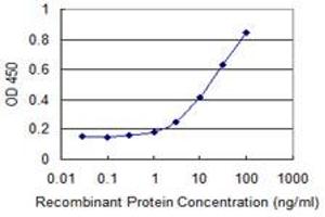 ZNHIT2 antibody  (AA 274-361)