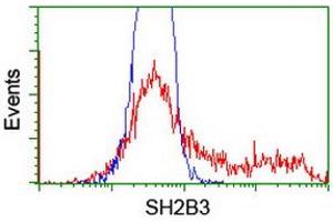 HEK293T cells transfected with either RC218359 overexpress plasmid (Red) or empty vector control plasmid (Blue) were immunostained by anti-SH2B3 antibody (ABIN2454461), and then analyzed by flow cytometry.