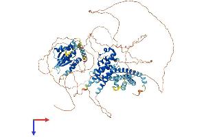 AlphaFold protein structure predicition of Human Recombinant SWT1 Protein, UniprotID Q5T5J6 (SWT1 Protein (AA 1-900) (His tag))