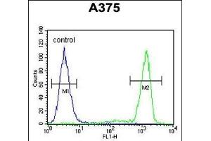 TCPR1 Antibody (N-term) (ABIN390828 and ABIN2841056) flow cytometric analysis of  cells (right histogram) compared to a negative control cell (left histogram). (TECPR1 antibody  (N-Term))