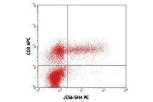 Flow Cytometry (FACS) image for anti-Interleukin 2 (IL2) antibody (PE) (ABIN2663776) (IL-2 antibody  (PE))