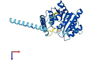 AlphaFold protein structure predicition of Mouse Recombinant Alg5 Protein, UniprotID Q9DB25 (ALG5 Protein (AA 1-324) (His tag))