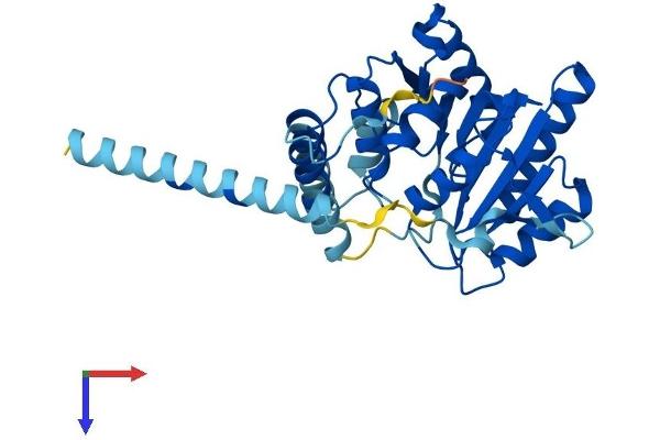 ALG5 Protein (AA 1-324) (His tag)