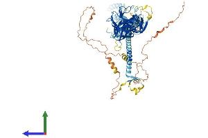 AlphaFold protein structure predicition of Human Recombinant FSD2 Protein, UniprotID A1L4K1