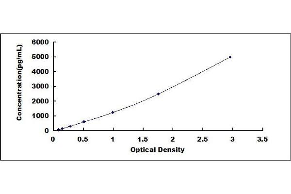 SERPINB3 ELISA Kit