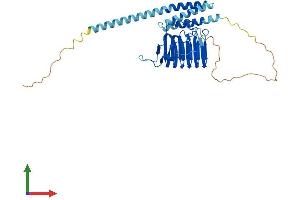 AlphaFold protein structure predicition of Human Recombinant TBCC Protein, UniprotID Q15814 (TBCC Protein (AA 1-346) (His tag))