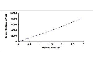 Typical standard curve (Coagulation Factor V ELISA Kit)