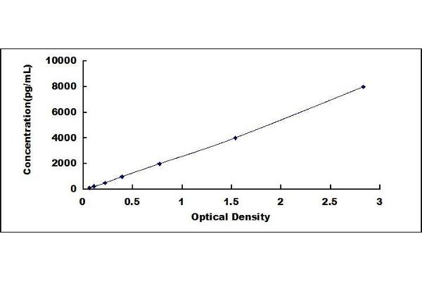 Coagulation Factor V ELISA Kit
