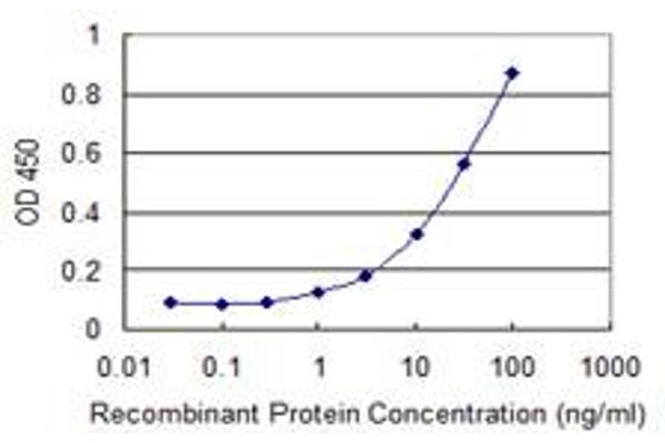 SPG21 antibody  (AA 211-306)
