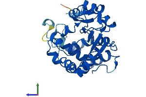 Protein Structure (PS) image for Sulfotransferase Family 2A, Dehydroepiandrosterone (DHEA)-Preferring, Member 2 (SULT2A2) (AA 1-285) protein (His tag) (ABIN7563355)