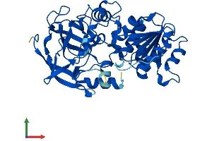 Protein Structure (PS) image for Alcohol Dehydrogenase 6 (Class V) (ADH6) (AA 1-368) protein (His tag) (ABIN7551981)