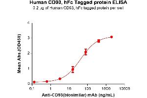CD93 (CD93) (AA 22-580) protein (Fc Tag)