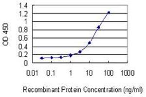 Detection limit for recombinant GST tagged EPYC is 0. (EPYC antibody  (AA 20-322))