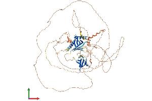 AlphaFold protein structure predicition of Human Recombinant MAPK8IP2 Protein, UniprotID Q13387 (IB2 Protein (AA 1-824) (His tag))
