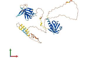 AlphaFold protein structure predicition of Mouse Recombinant Dok3 Protein, UniprotID Q9QZK7