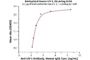 Immobilized Biotinylated Human LIV-1, His,Avitag (ABIN6992406) at 1 μg/mL (100 μL/well) on streptavidin  precoated (0.