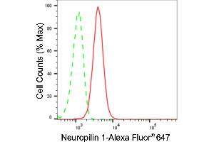 Flow cytometric analysis of Neuropilin 1 expression in HT- cells using Neuropilin 1 antibody (ABIN7799586), 1:2,000).