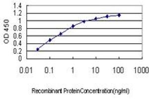 Detection limit for recombinant GST tagged CDX4 is approximately 0. (CDX4 antibody  (AA 71-170))