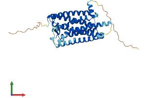 AlphaFold protein structure predicition of Human Recombinant RRH Protein, UniprotID O14718 (Peropsin Protein (RRH) (AA 1-337) (His tag))