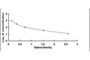 Typical standard curve (FGF7 ELISA Kit)