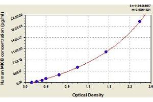 MICB ELISA Kit