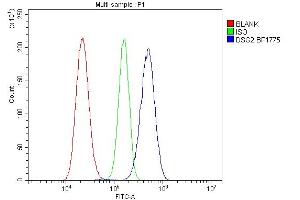 Flow Cytometry analysis of RH35 cells using anti-DSG2 antibody (ABIN7600803). (Desmoglein 2 antibody  (AA 24-1020))