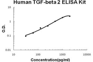 Human TGF-beta 2 PicoKine ELISA Kit standard curve