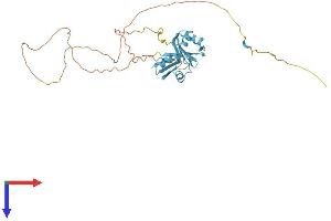 SFRS6 Protein (AA 1-339) (His tag)