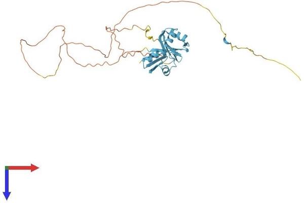 SFRS6 Protein (AA 1-339) (His tag)