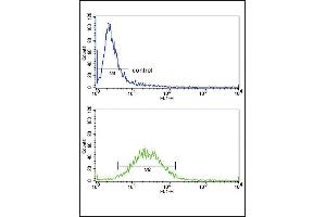 CSF3R Antibody (Center) (ABIN653017 and ABIN2842640) FC analysis of ZR-75-1 cells (bottom histogram) compared to a negative control cell (top histogram). (CSF3R antibody  (AA 252-280))