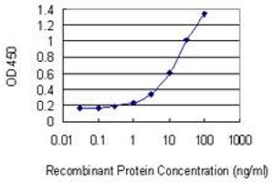 Detection limit for recombinant GST tagged FEM1B is 0. (FEM1B antibody  (AA 401-490))