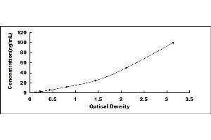 Typical standard curve (ENOS ELISA Kit)