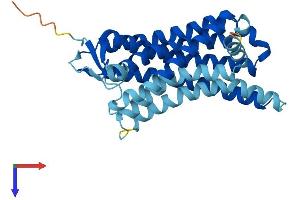 AlphaFold protein structure predicition of Human Recombinant OR52E4 Protein, UniprotID Q8NGH9 (OR52E4 Protein (AA 1-312) (His tag))
