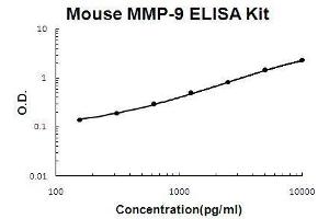 Mouse MMP-9 PicoKine ELISA Kit standard curve (MMP 9 ELISA Kit)