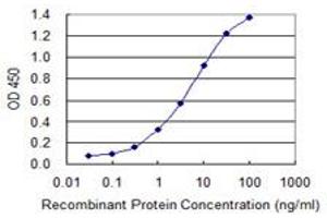 Detection limit for recombinant GST tagged HSD17B1 is 0. (HSD17B1 antibody  (AA 189-285))