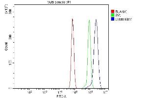 Flow Cytometry analysis of RH35 cells using anti-LSM8 antibody (ABIN7599578).