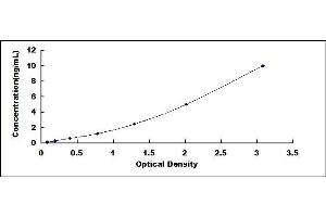 Typical standard curve (Claudin 3 ELISA Kit)