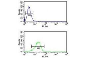 NQO1 antibody flow cytometric analysis of NCI-H460 cells (green) compared to a negative control (blue). (NQO1 antibody  (AA 118-144))